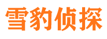 边坝外遇出轨调查取证